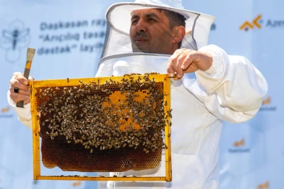 Daşkəsən rayonunda arıçı fermerlərə təlimlər keçirilib