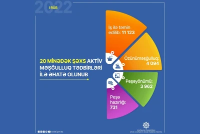 Cari ildə 20 minədək şəxsin məşğulluğuna dəstək göstərilib