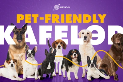 Bakıda pet-friendly kafelər: “dördayaqlı dostlar”ımızla hara gedək