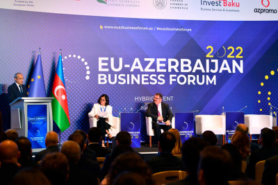 Avropa İttifaqı-Azərbaycan biznes forumu keçirilib