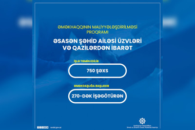 Əməkhaqqının birgə maliyyələşdirilməsi proqramı üzrə 750 şəxs işlə təmin edilib