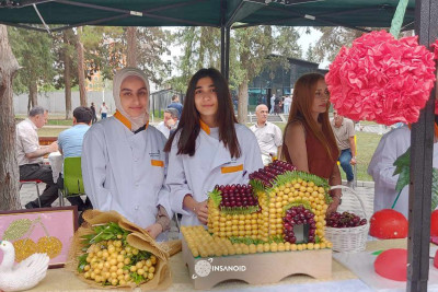 Azərbaycanda ilk "Albalı və gilas" festivalı keçirilir - FOTOREPORTAJ