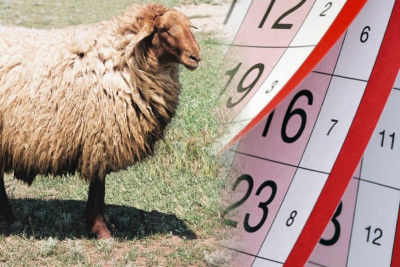Gələn ay ardıcıl 4 gün iş olmayacaq