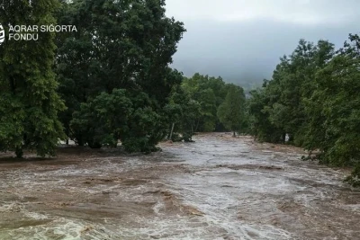 Aqrar Sığorta Fondu qeyri-sabit hava şəraiti ilə bağlı fermerlərə müraciət edib