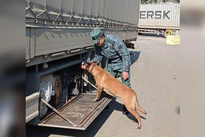 DSX: keçən ay sərhəddə 300 min manatlıq qaçaqmal saxlanılıb