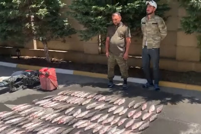 Bakıda körpə balıqları ovlayan şəxslər saxlanılıb