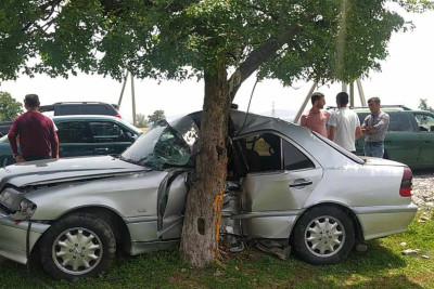Oğuzda avtomobil ağaca çırpılıb: sürücü yaralanıb