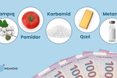 Qeyri-neft sektoru: Azərbaycana ən çox gəlir gətirən məhsul hansıdır?