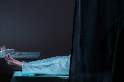 Göyçayda alça yığmaq istəyən kişi ağacdan yıxılıb öldü