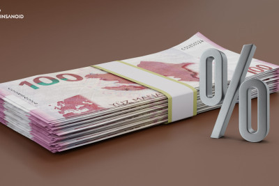 Bu ilin birinci yarısında problemli kreditlərin həcmi artıb