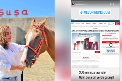Şair Zəhra Bədəlbəyli azərbaycanlıların Fransaya ünvanladığı petisiyanı dəstəkləyib