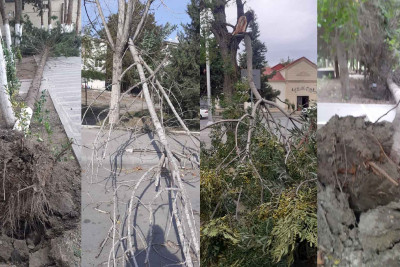 Mingəçevirdə külək fəsadlara səbəb olub