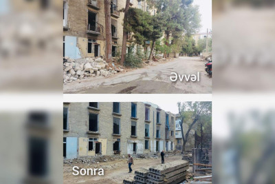 Sumqayıtda ağacları qanunsuz kəsən tikinti şirkəti aşkarlanıb
