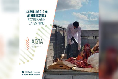 AQTA: İsmayıllıda can verən atları kəsən şəxs ifşa edilib