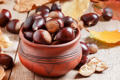 Zaqatala sakinləri şabalıd ağaclarının qurumasından narahatdırlar