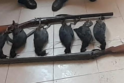 Şabranda qanunsuz ov edən şəxslər saxlanılıblar