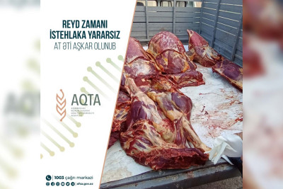 AQTA: İsmayıllıda 300 kiloqram at əti aşkar olunub
