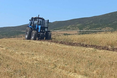 Kənd təsərrüfatı məhsullarının istehsalı ilə məşğul olan şəxslərə verilən subsidiyalar gəlir vergisindən azad edilib