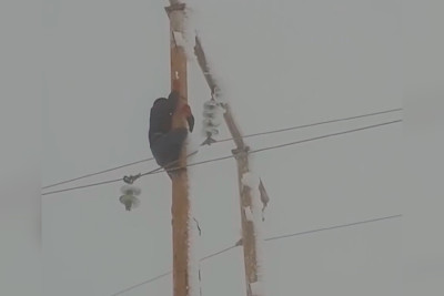 Ölkənin 5 rayonunda elektrik verilişində fasilələr yaranıb