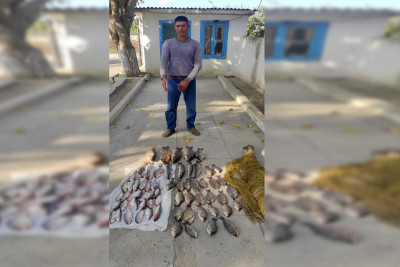 Neftçalada brakonyerliklə məşğul olan şəxs ələ keçib