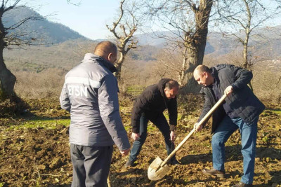 Bayram günlərində meşə fondu torpaqlarında 25 000 ağac əkilib