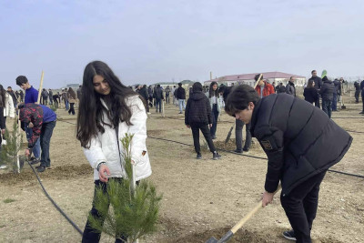 Bakıda Gənclər Günü münasibətilə 1000-ə yaxın ağac əkilib
