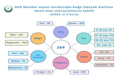 Ötən il 167 nəfər partnyoru tərəfindən zorakılığa məruz qalıb