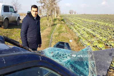 Bərdədə avtomobil atı vurub - FOTO