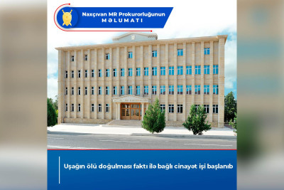 Naxçıvanda körpənin ölü doğulması ilə bağlı cinayət işi açılıb