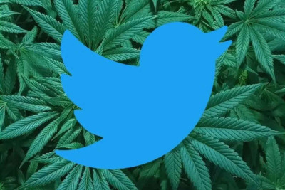 “Twitter” marixuananın reklamına icazə verib