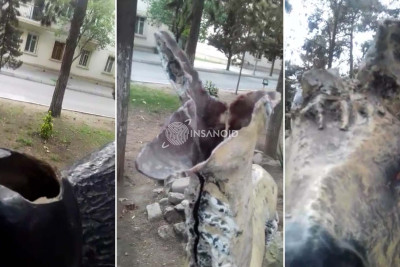 Mingəçevirdəki parkı yararsız hala salan kimlərdir?