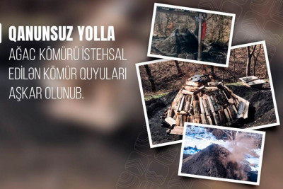 Qəbələ və Göygöldə qanunsuz kömür quyuları tapılıb