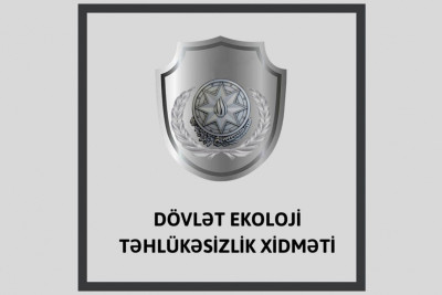 Qəbələdə qanunsuz kəsilən ağaclarla bağlı araşdırma aparılır