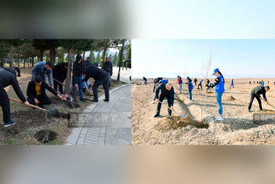 Balakən və Naxçıvanda Heydər Əliyevin 100 illiyinə həsr olunmuş ağacəkmə aksiyaları keçirilib