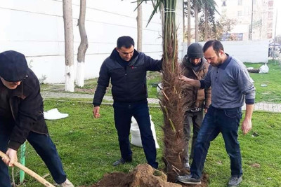 Heydər Əliyevin 100 illik yubileyi ilə bağlı Sabirabadda ağacəkmə aksiyası keçirilir