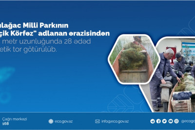Qızılağac Milli Parkından 28 ədəd sintetik tor götürülüb