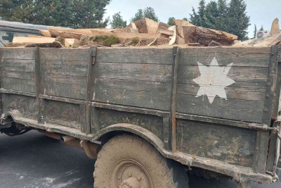 “Qırmızı kitab”a daxil edilmiş bitkilərin kəsilərək daşındığı avtomobil saxlanılıb