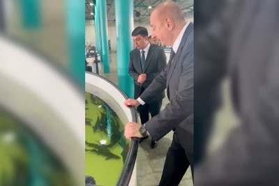 Mehriban Əliyeva Neftçaladan paylaşım edib