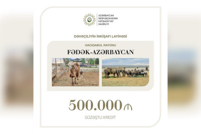 Azərbaycanda dəvəçiliyin inkişafına 0,5 milyon manat güzəştli kredit ayrılıb
