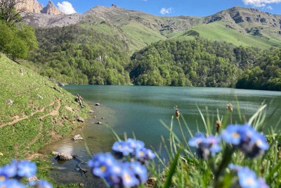 Ötən il Göygöl Milli Parkını 200 mindən çox turist ziyarət edib