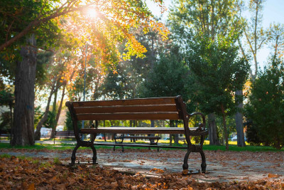 Xırdalanda parkdan 3 ədəd skamya oğurlanıb