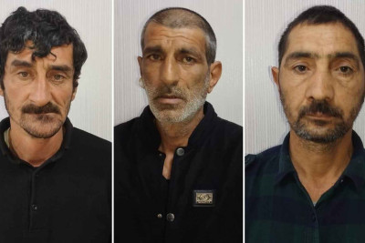 Ucarda oğurluq edən dəstə saxlanılıb