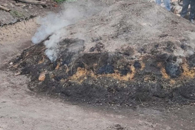 Qanunsuz ağac kömürü istehsal edilən quyular aşkarlanıb