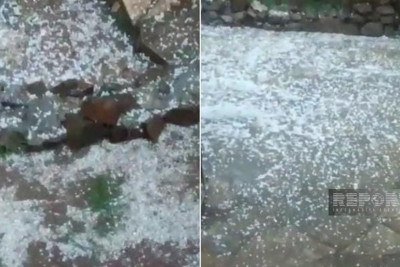 Şəmkirdə güclü dolu yağıb, təsərrüfata, meyvə bağlarına zərər dəyib
