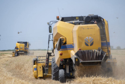 Taxıl sahələrindən 1 milyon tondan çox məhsul yığılıb