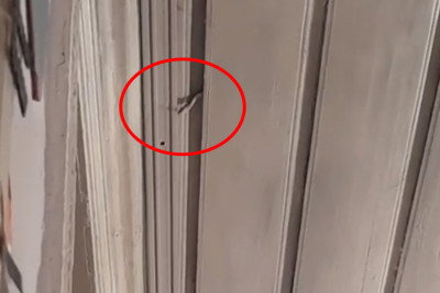Qubada uşaq bağçasında ilanlar peyda olub