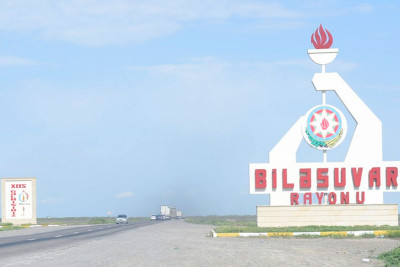 Biləsuvarda küçəyə heyvan cəsədləri atan qadın cəzalandırılıb