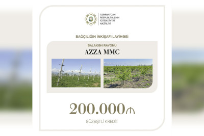 Bağçılığın inkişafı layihəsinə 200 min manat güzəştli kredit verilib