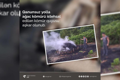 Lerikdə qanunsuz kömür quyusu aşkarlanıb