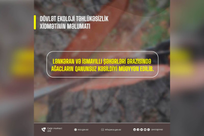İsmayıllı və Lənkəranda qanunsuz ağac kəsən şəxslər cərimələniblər